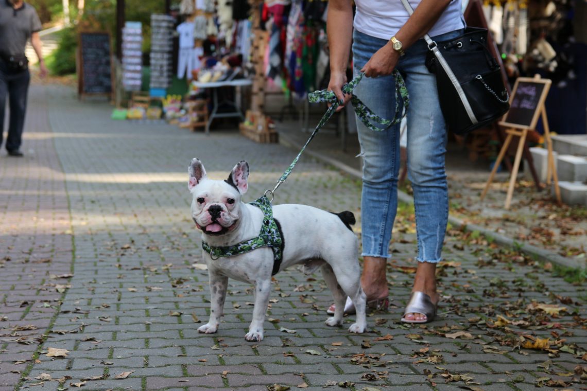Plener KSF 2018 Fot. Adam Dudzik