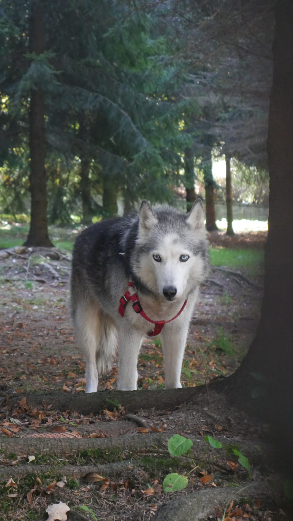 Plener KSF 2018 Fot. Mateusz Jodłowski