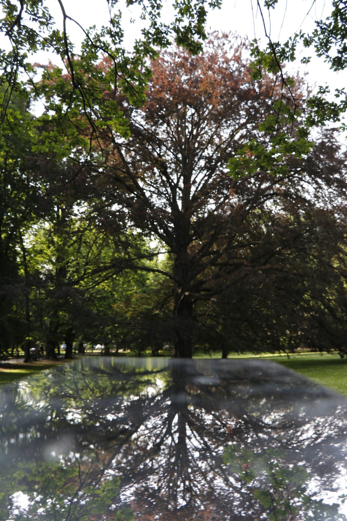 autorka: Julia Kołodziejska