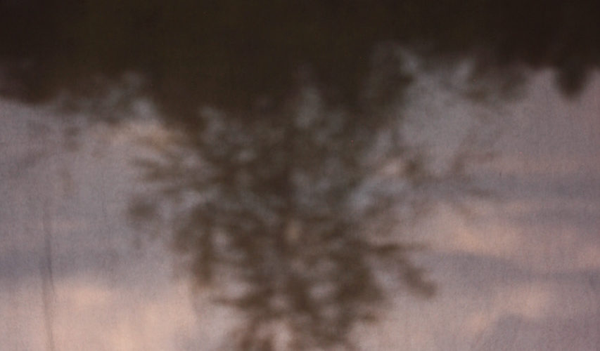 autorką zdjęcia jest Julia Powązka