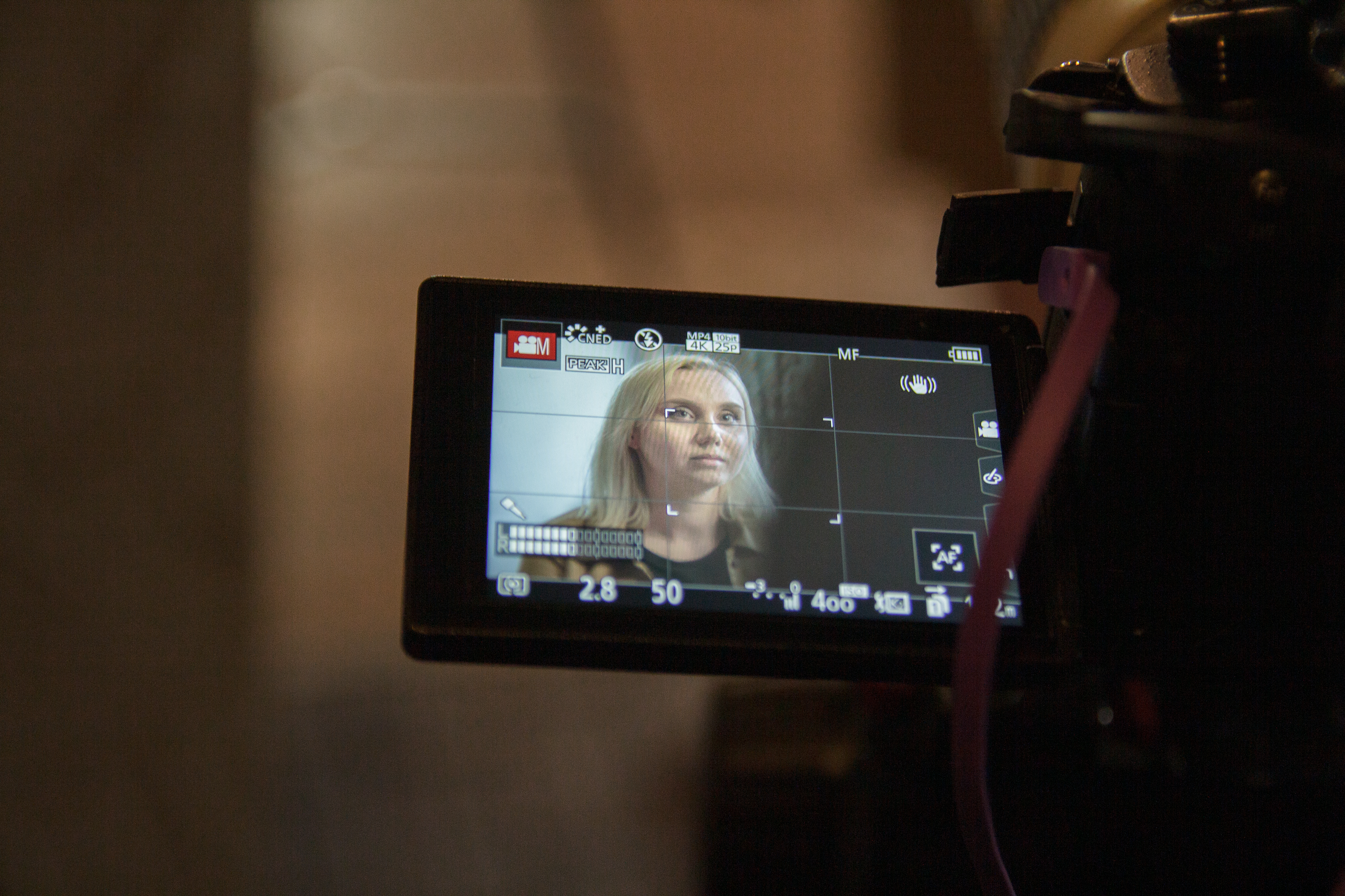 Wywiad z Anetą Kowal Koordynatorką Książkodzielni Fot. Maja Wojsa