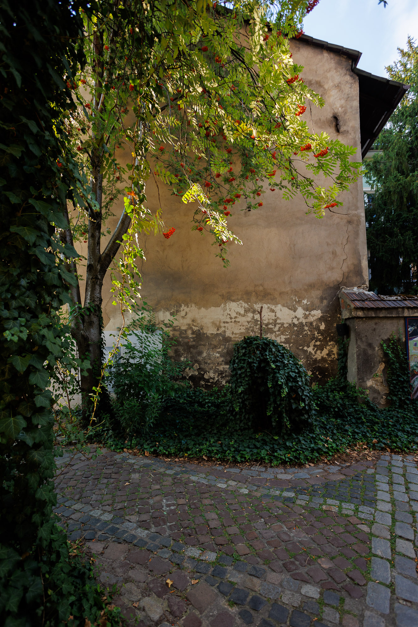 Spacer fotograficzny - Kazimierz Fot. Zygmunt Novak