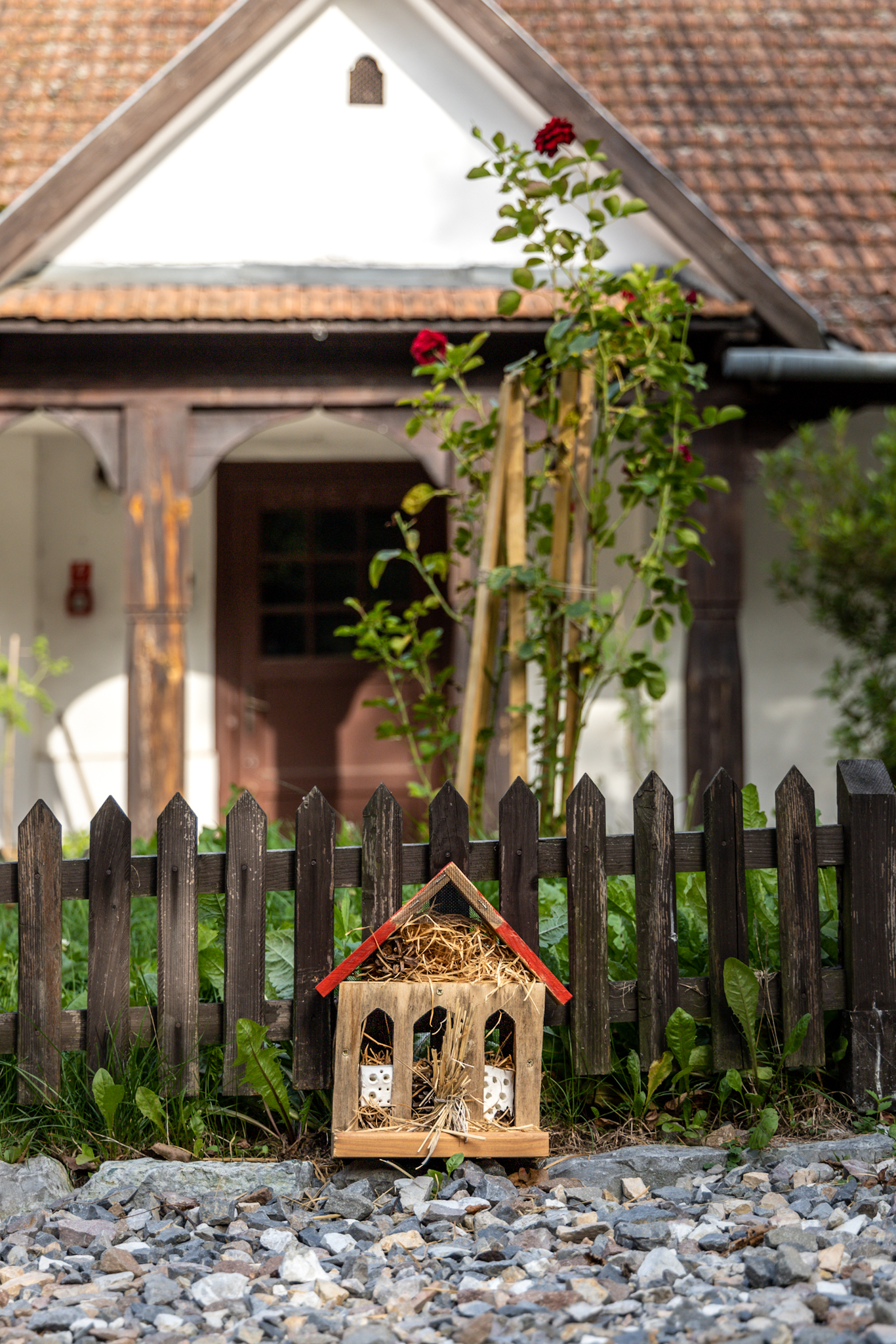 Fot. Katarzyna Antoń