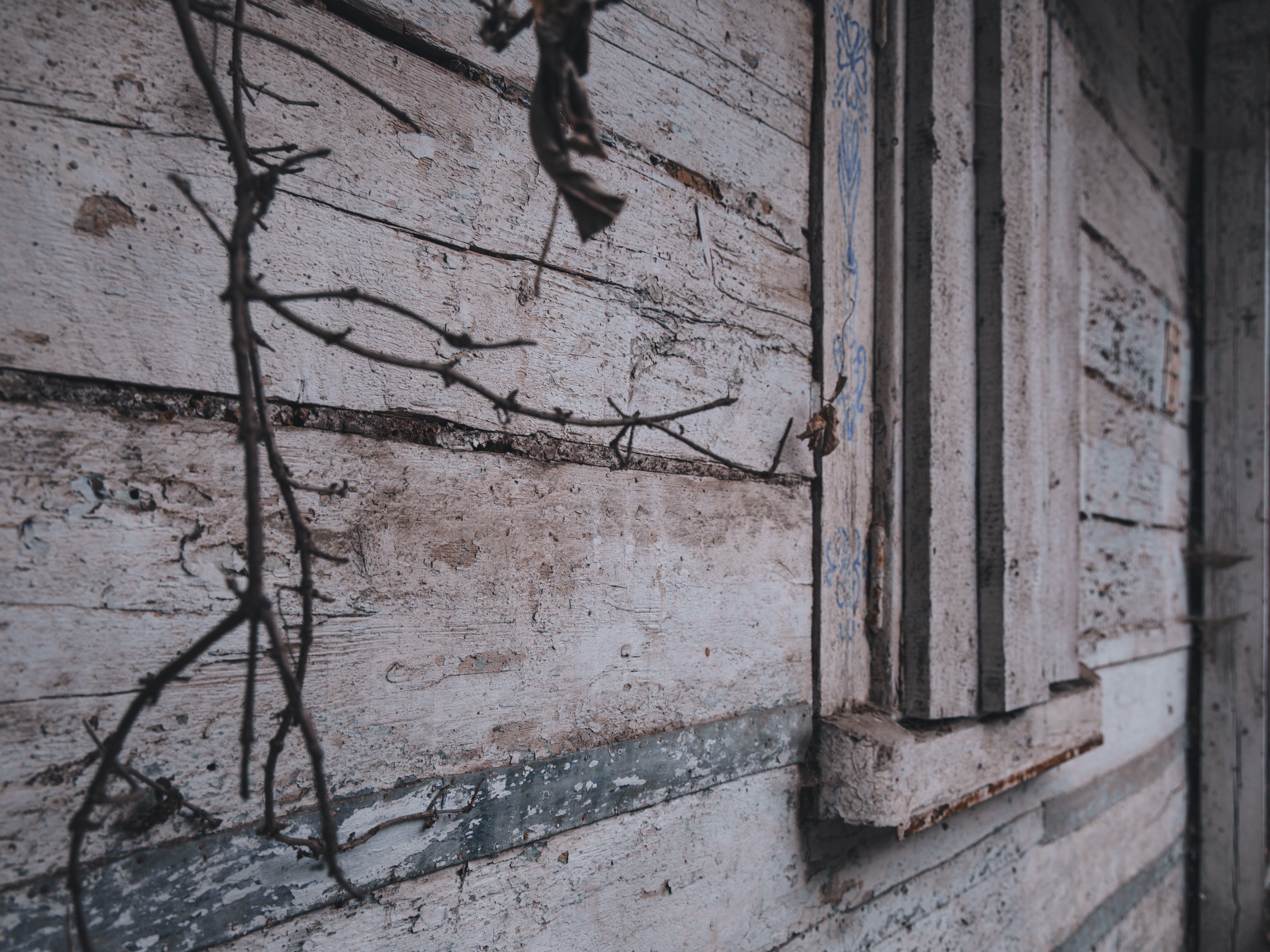 Fot. Katarzyna Antoń