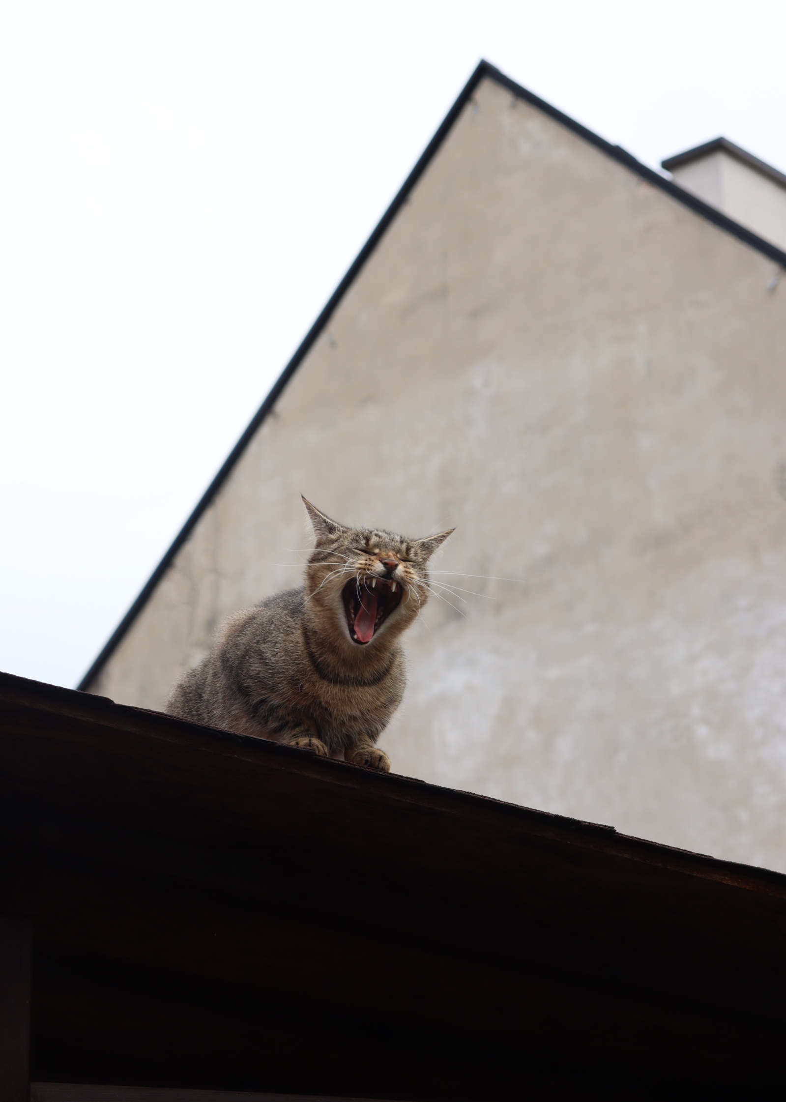 Fot. Ewelina Lipa