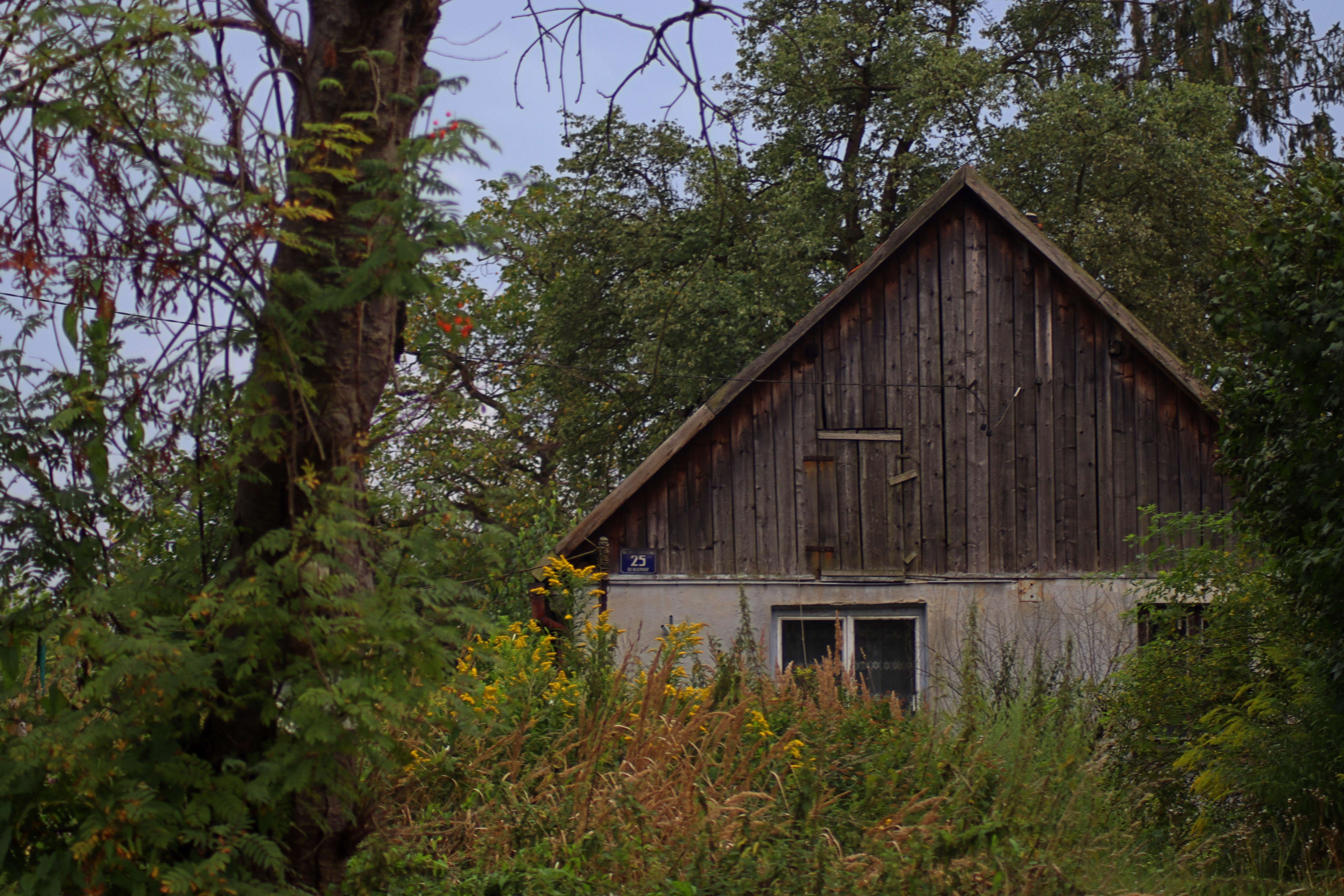 Fot. Dagmara Piasecka