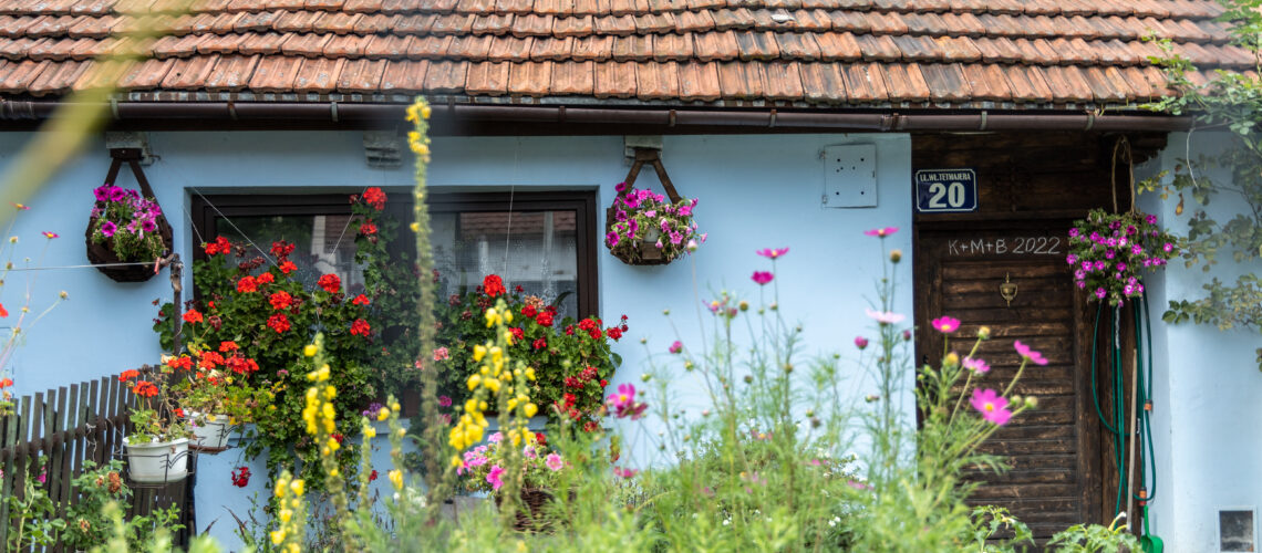 Fot. Katarzyna Antoń