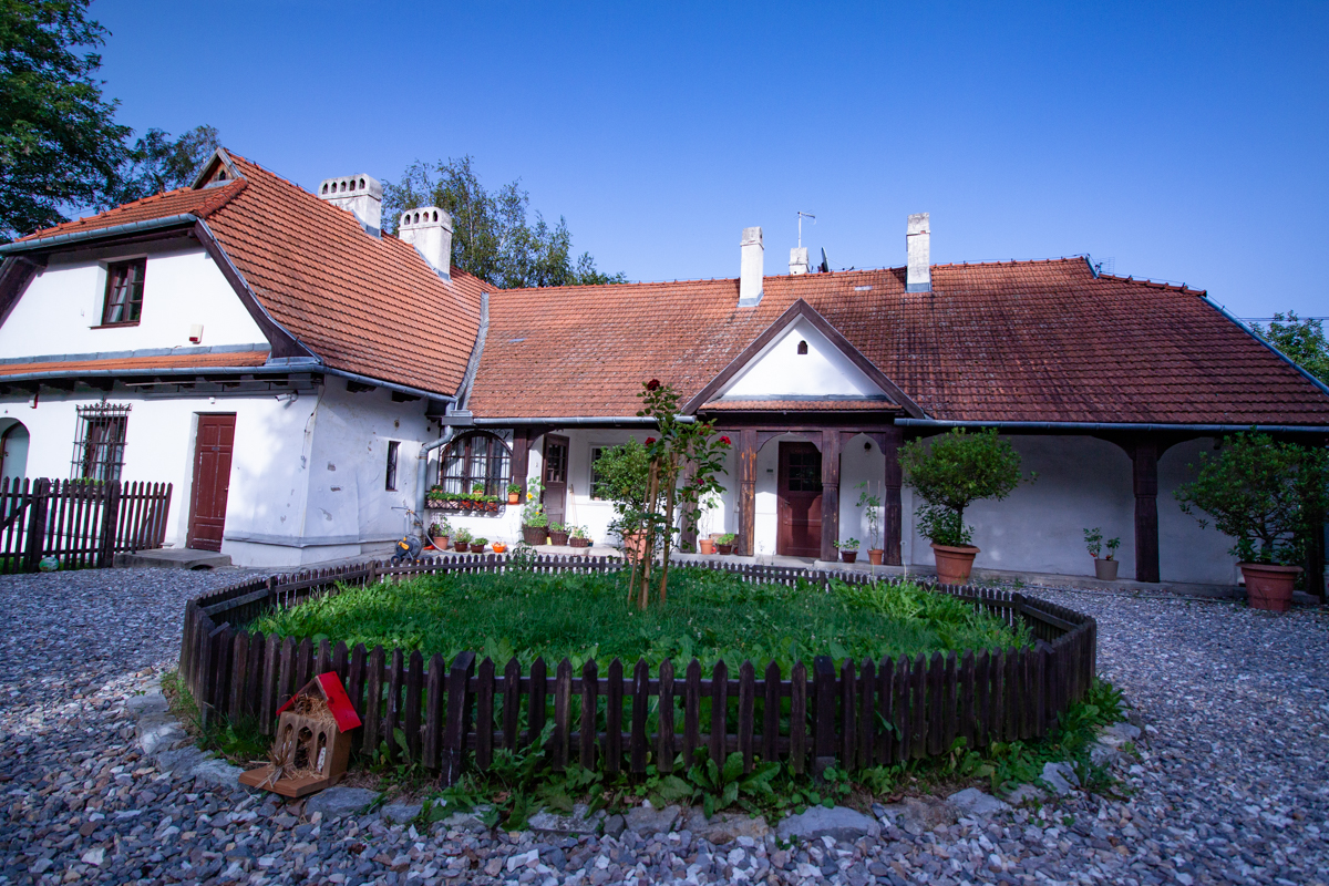 Fot. Edyta Król-Krzysiek