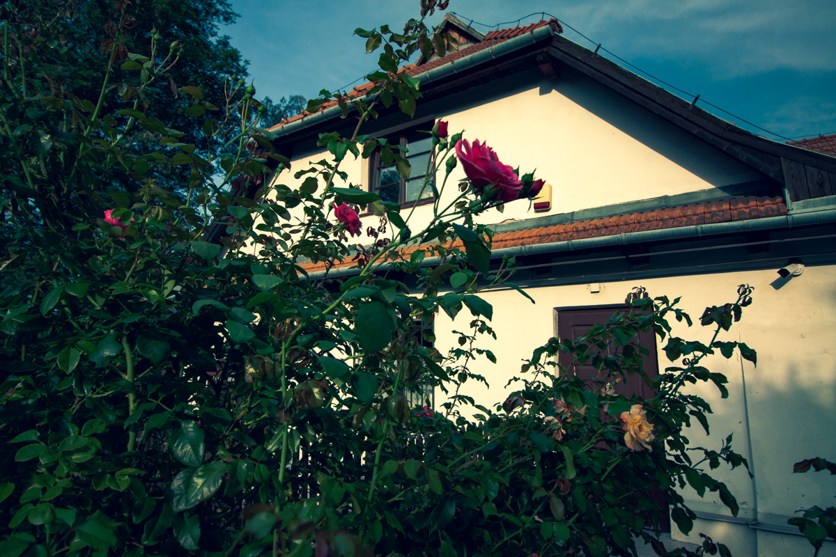 Fot. Edyta Król-Krzysiek