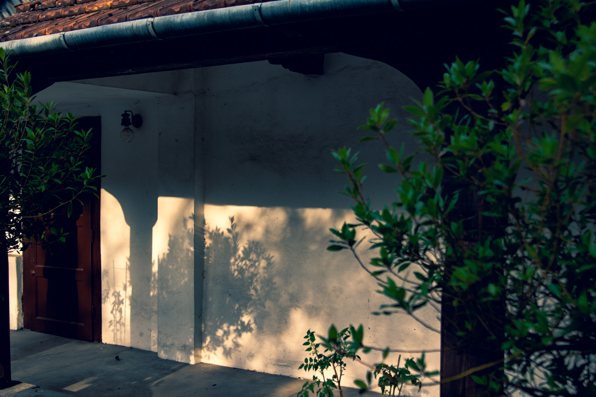 Fot. Edyta Król-Krzysiek