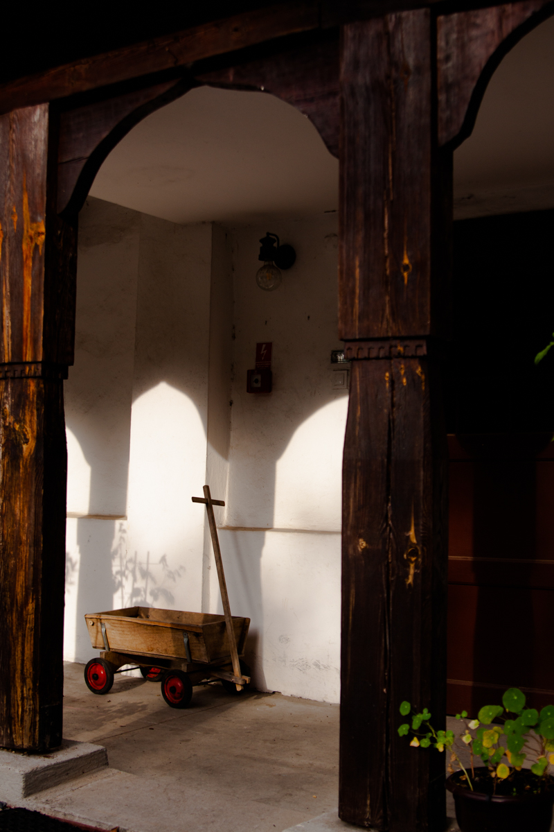 Fot. Edyta Król-Krzysiek